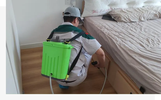 虫害识别和监测