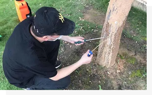 后期维护和持续监测